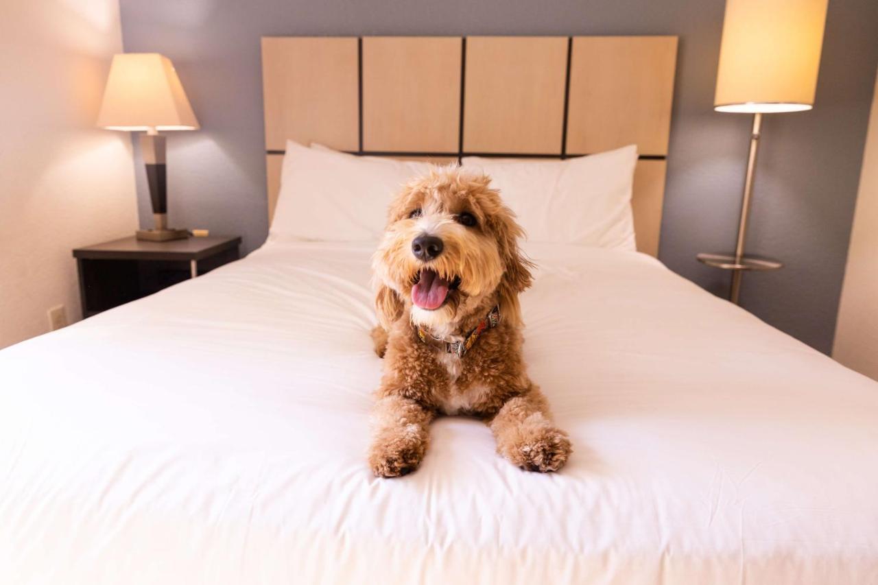 Sonesta Simply Suites Anaheim Garden Grove Exteriör bild